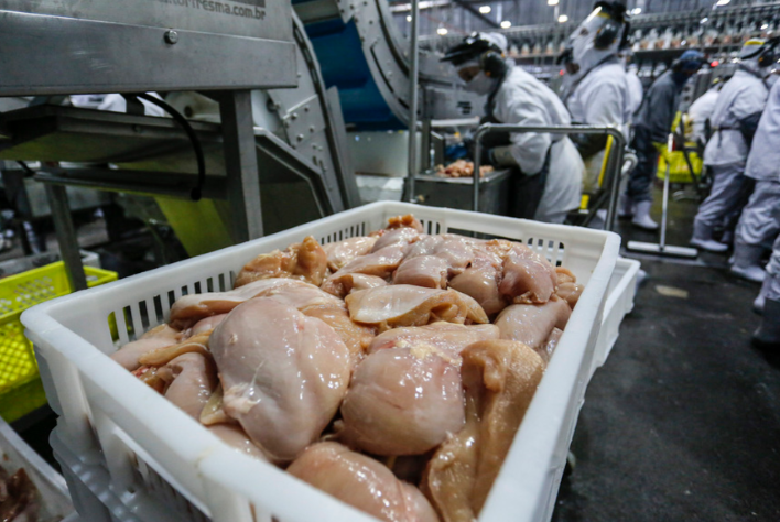 Exportação de frango brasileiro cresceu 21% em janeiro