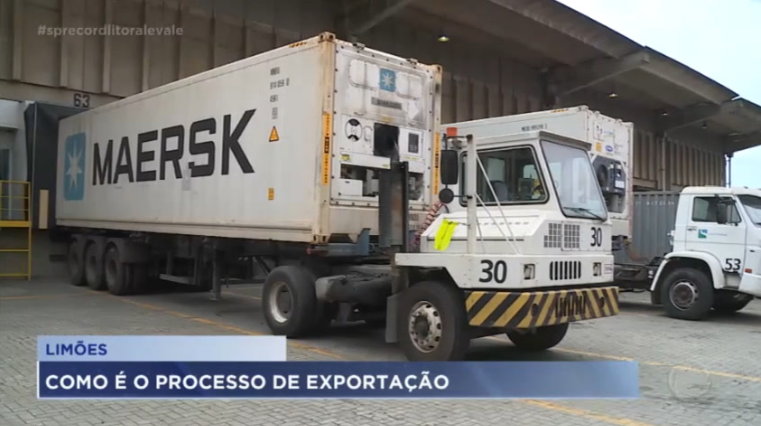 Entenda como o limão é exportado