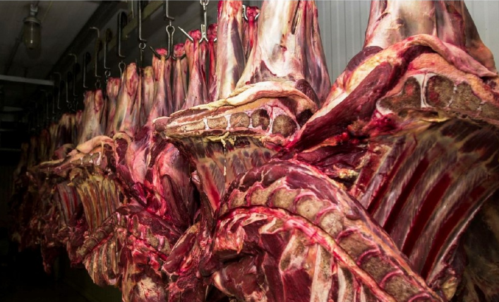 Brasil e Chile firmam acordo para desburocratizar habilitação de exportadores de carnes