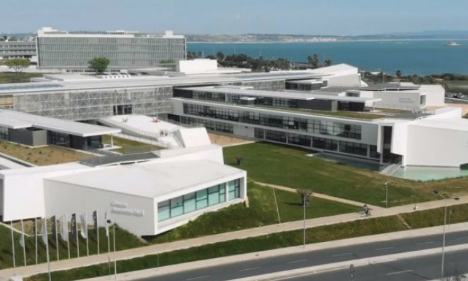 Conselho ESG do Brasil Export fará missão internacional de sustentabilidade em Portugal