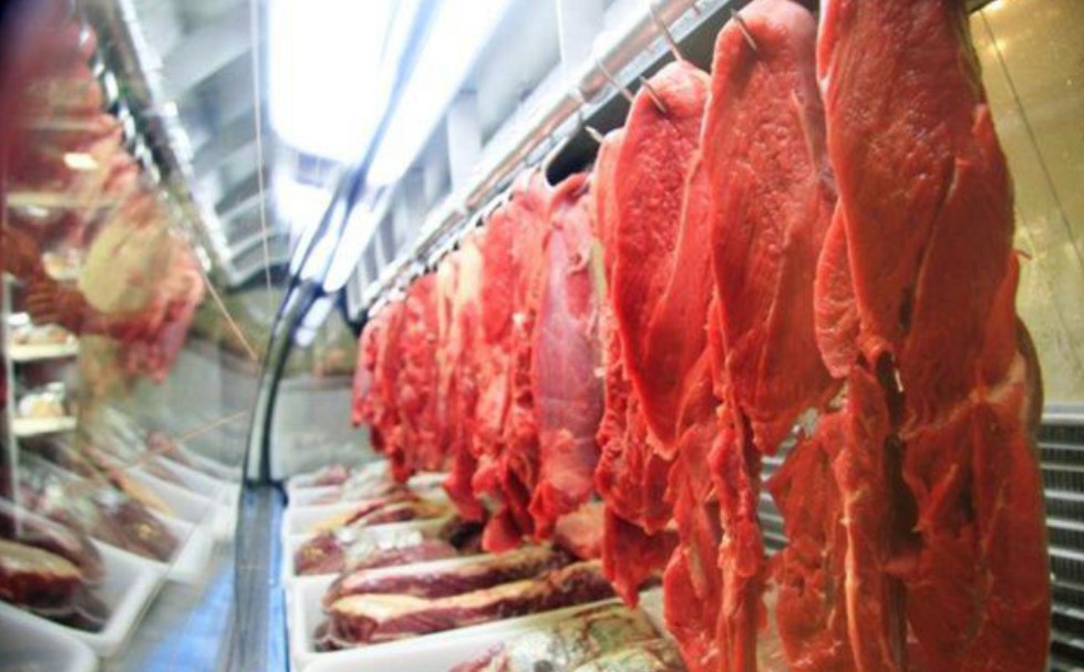 Exportação de carne bovina cresce 11% em maio