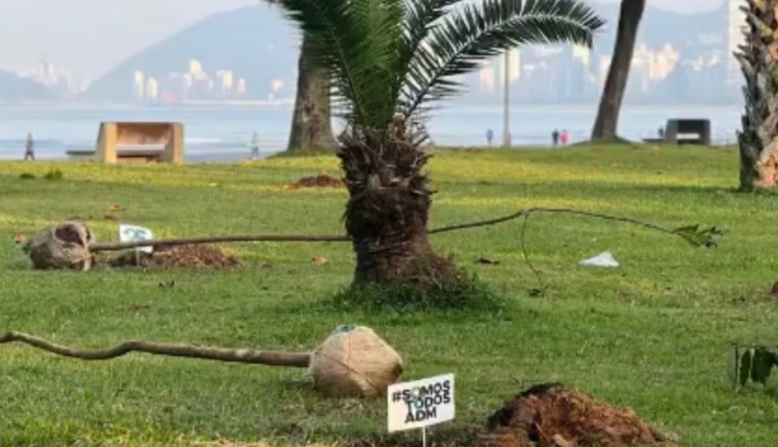 Empresa do setor portuário planta mudas no jardim da orla de Santos