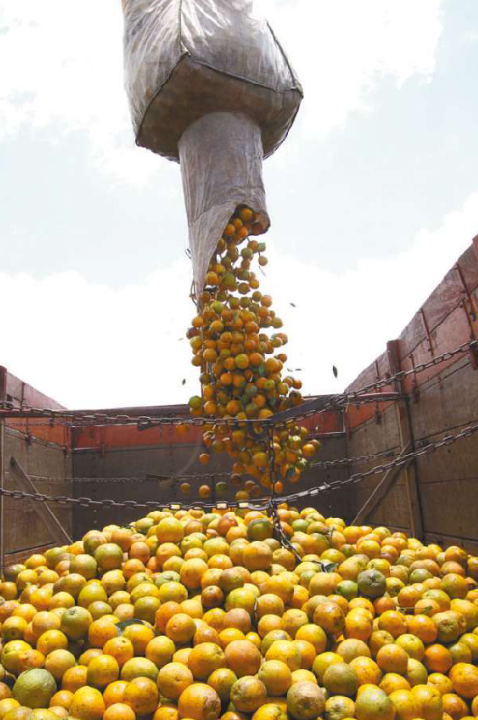 Exportação de suco de laranja sobe 28,3%
