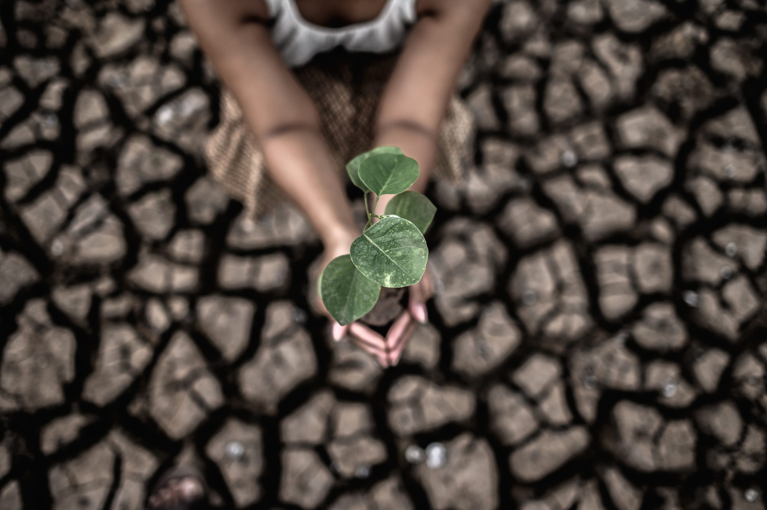FMI está preocupado com impacto das mudanças climáticas nas economias