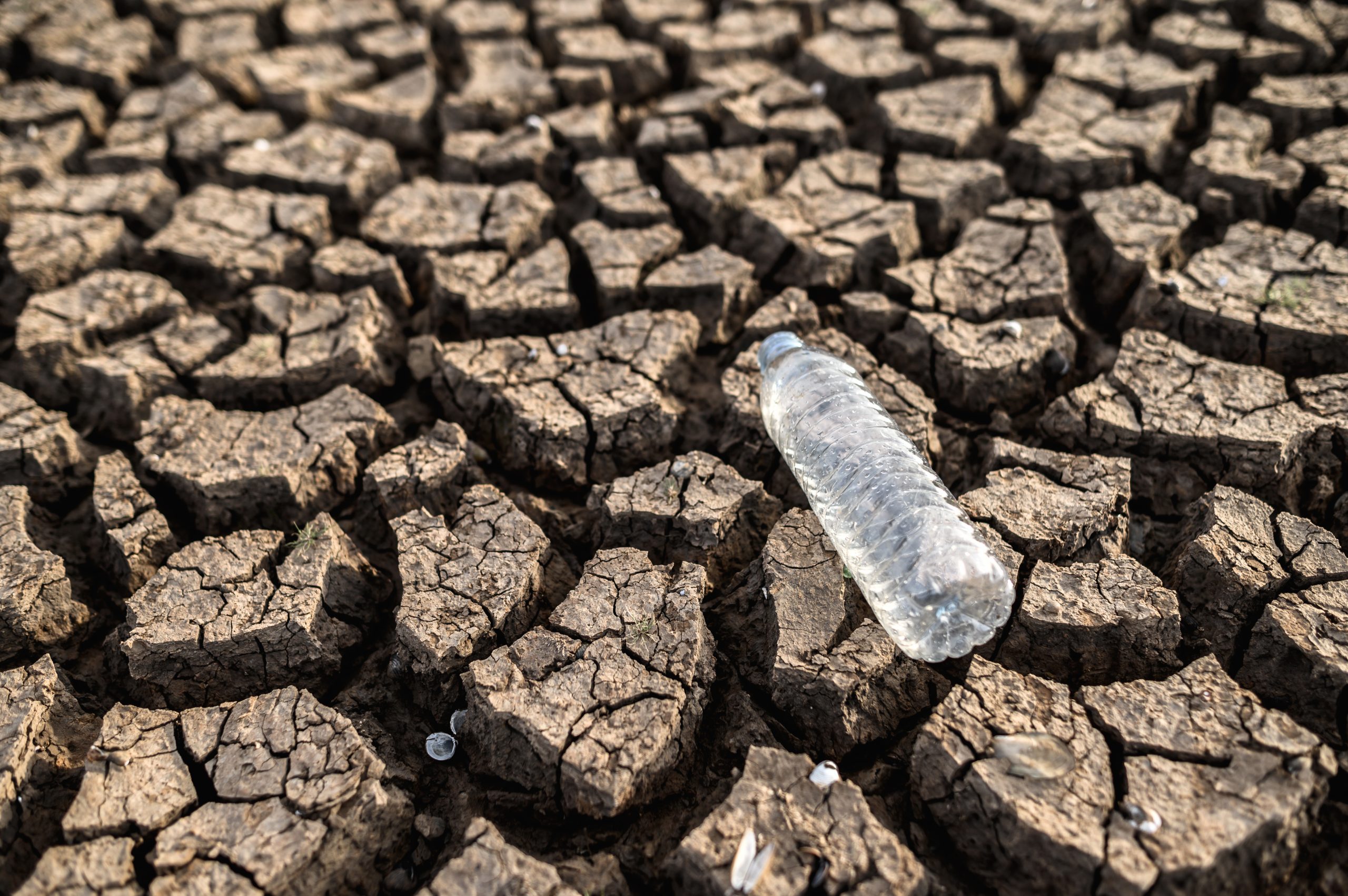 O impacto do El Niño na produção global de alimentos