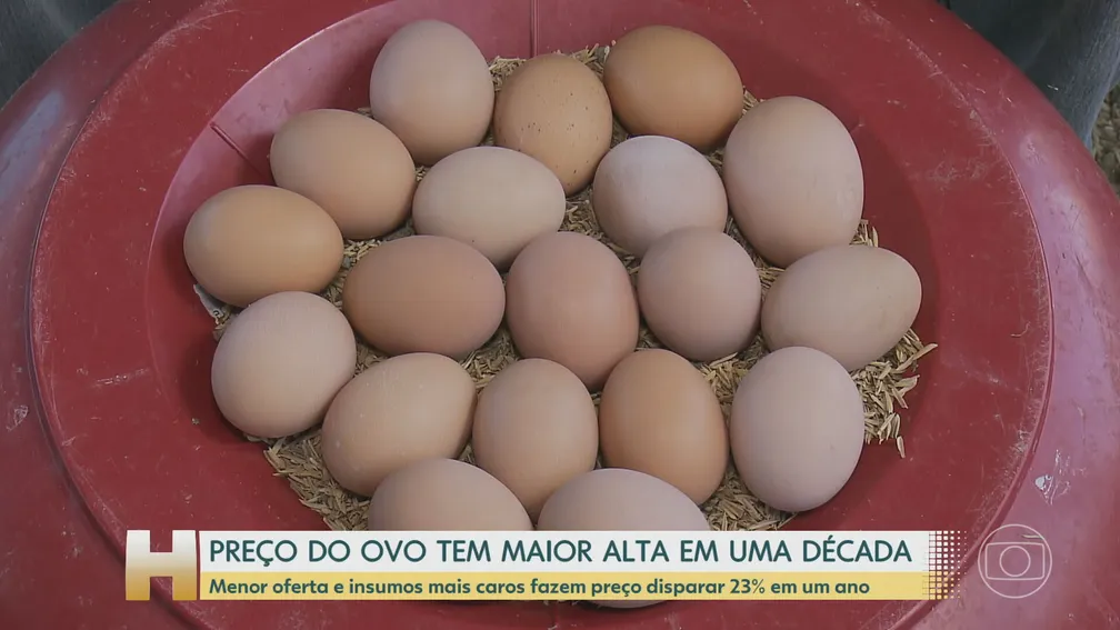 Preço do ovo de galinha sobe mais de 20% em 12 meses e tem a maior alta em uma década