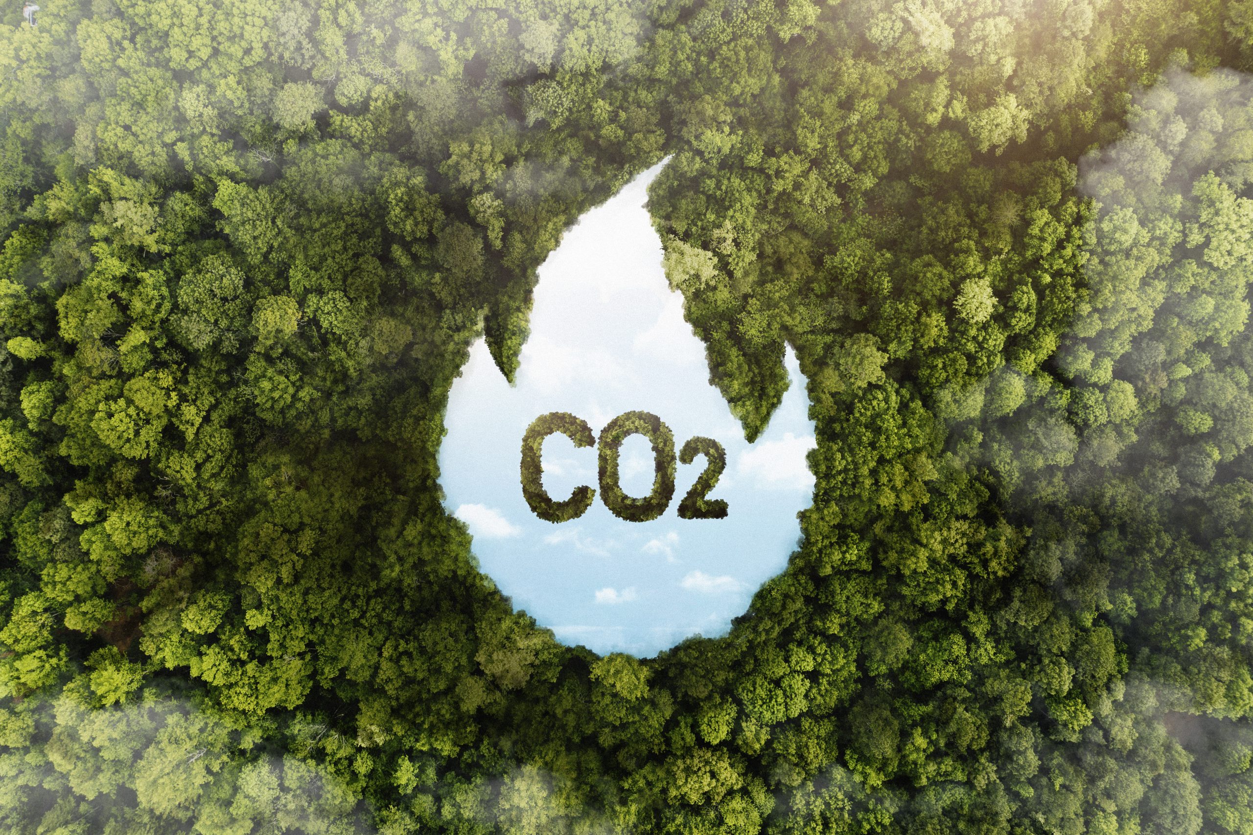 Governo conclui proposta de regulamentação do mercado de carbono e espera aprovação até a COP-30