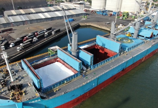 Exportações no Porto de São Francisco do Sul aumentam 60% em 2023