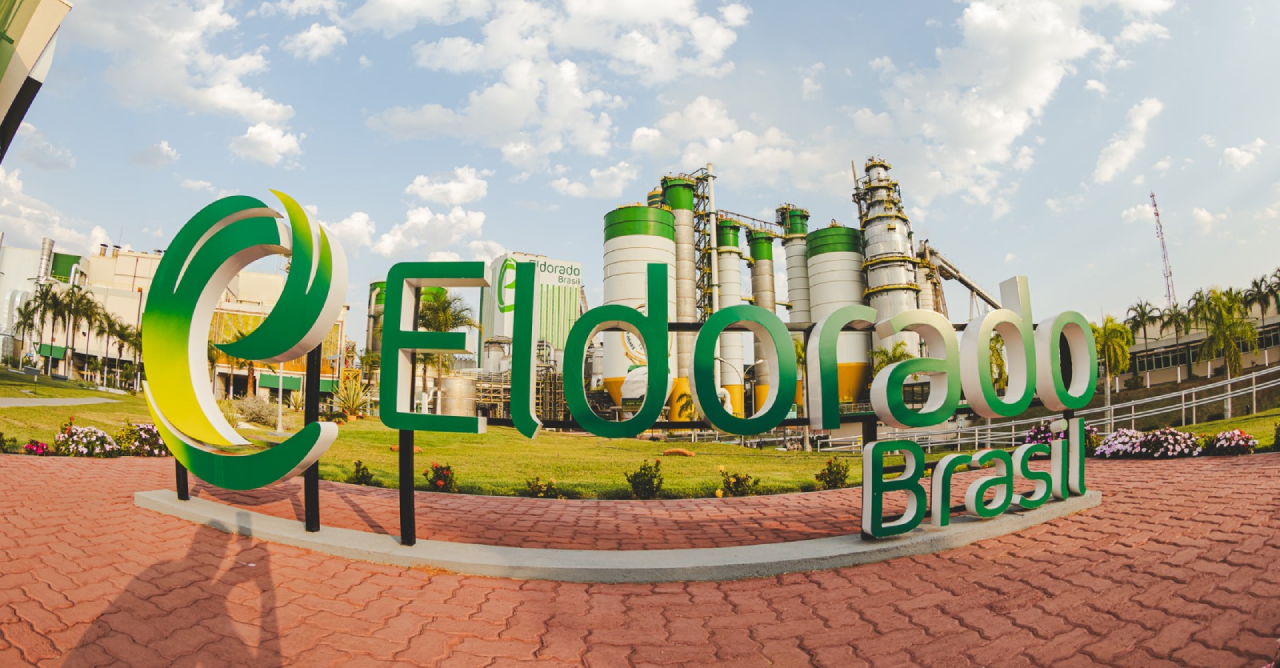 Evento realizado na Eldorado promove setor de celulose no MS