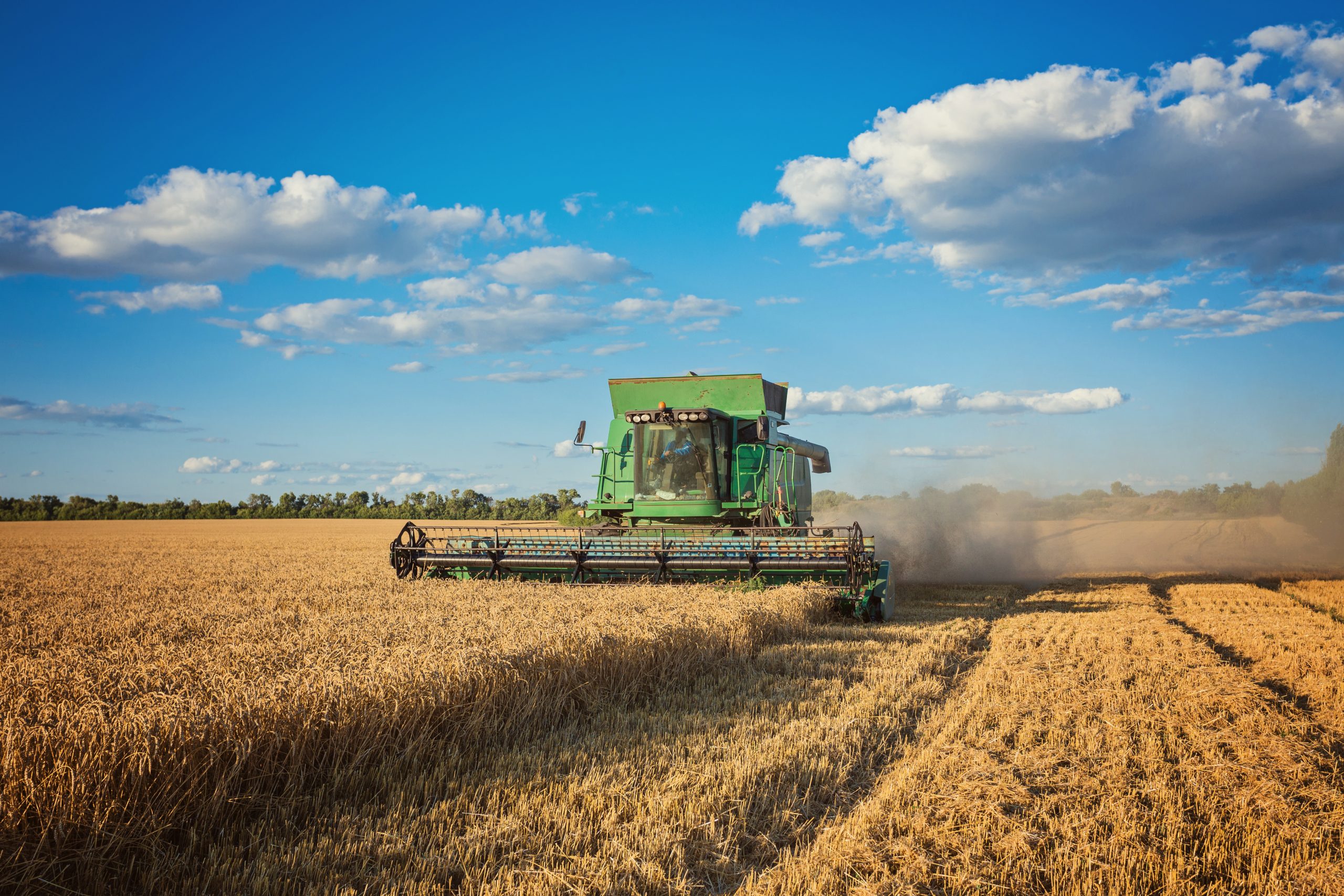 Valor da Produção Agropecuária é atualizado para R$ 1,142 trilhão este ano