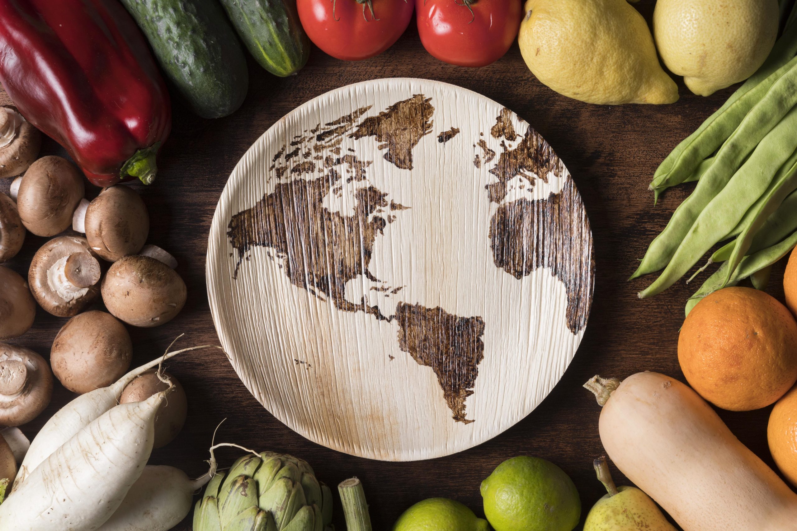 Brasil e Emirados Árabes Unidos vão intensificar cooperação para segurança alimentar e climática