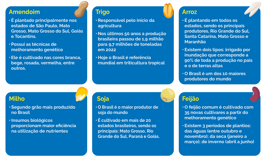 Brasil se destaca na agricultura por intermédio das políticas públicas e melhoramento genético