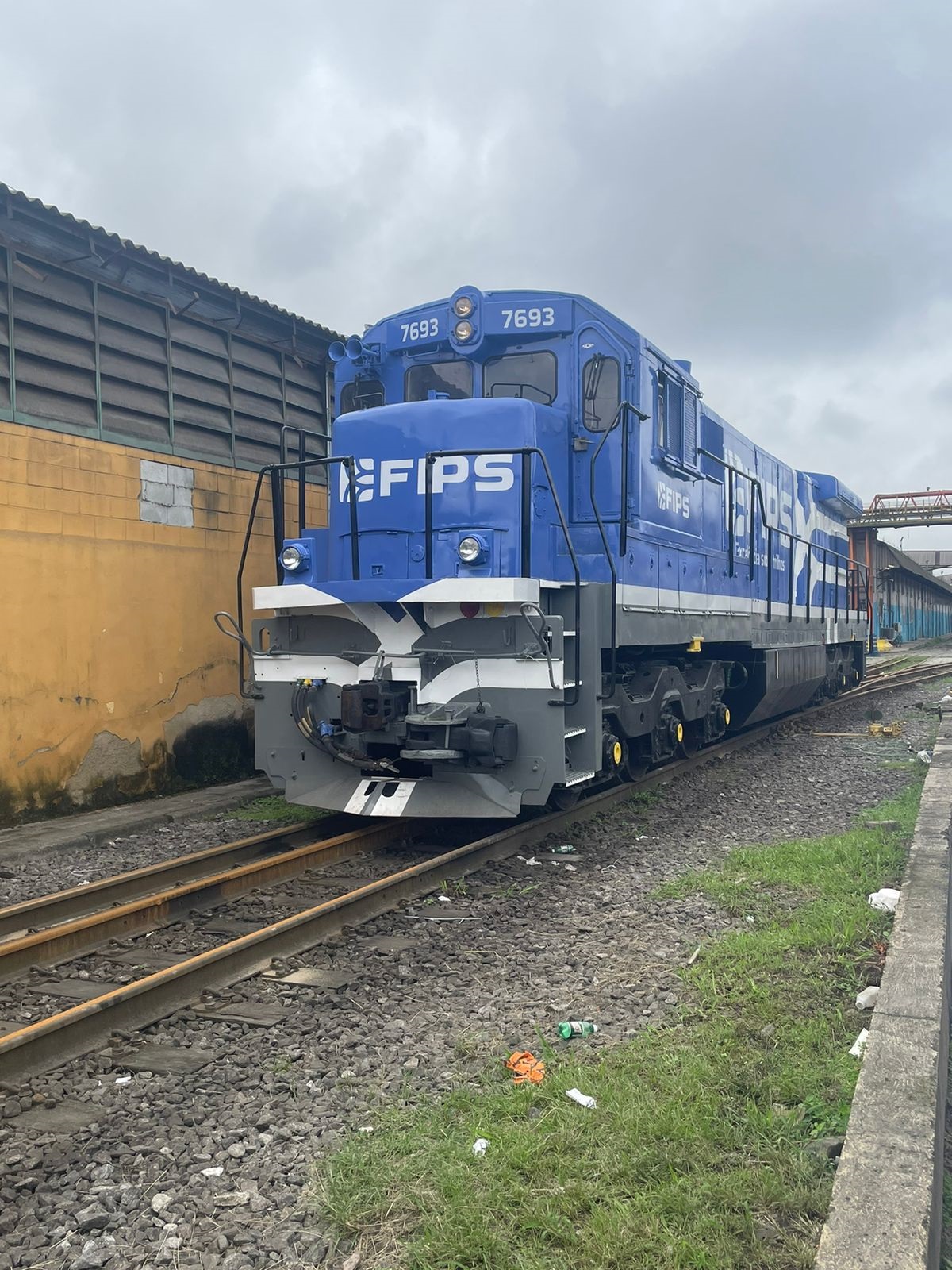 Fips inicia operação sob nova concessão no Porto de Santos