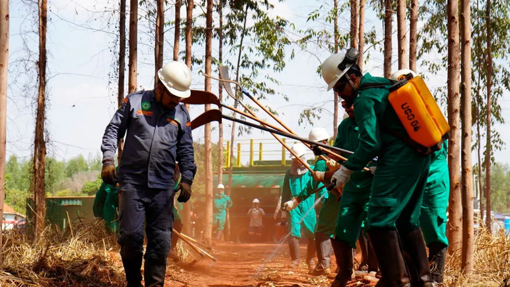 Por: Eldorado – Empresas atuam na prevenção e combate a incêndios no Cerrado