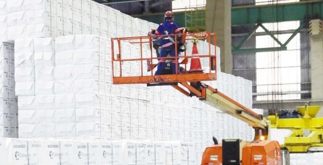 Celulose: O papel é exportar