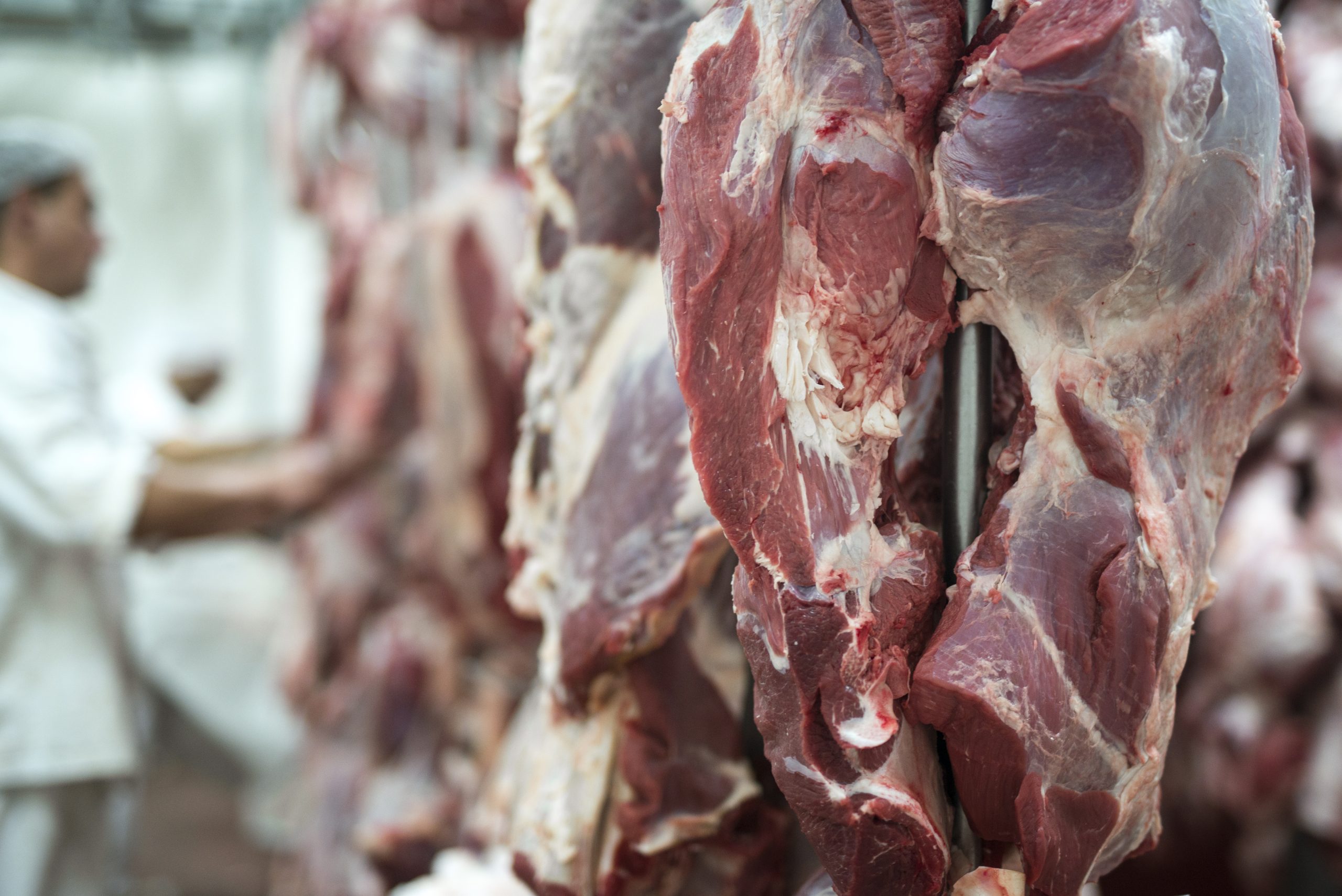 Quem são os maiores exportadores de carne bovina do mundo?