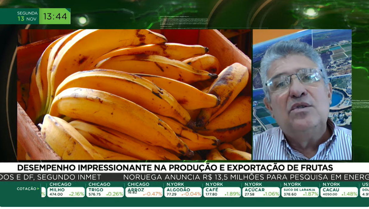 Desempenho impressionante na produção e exportação de frutas