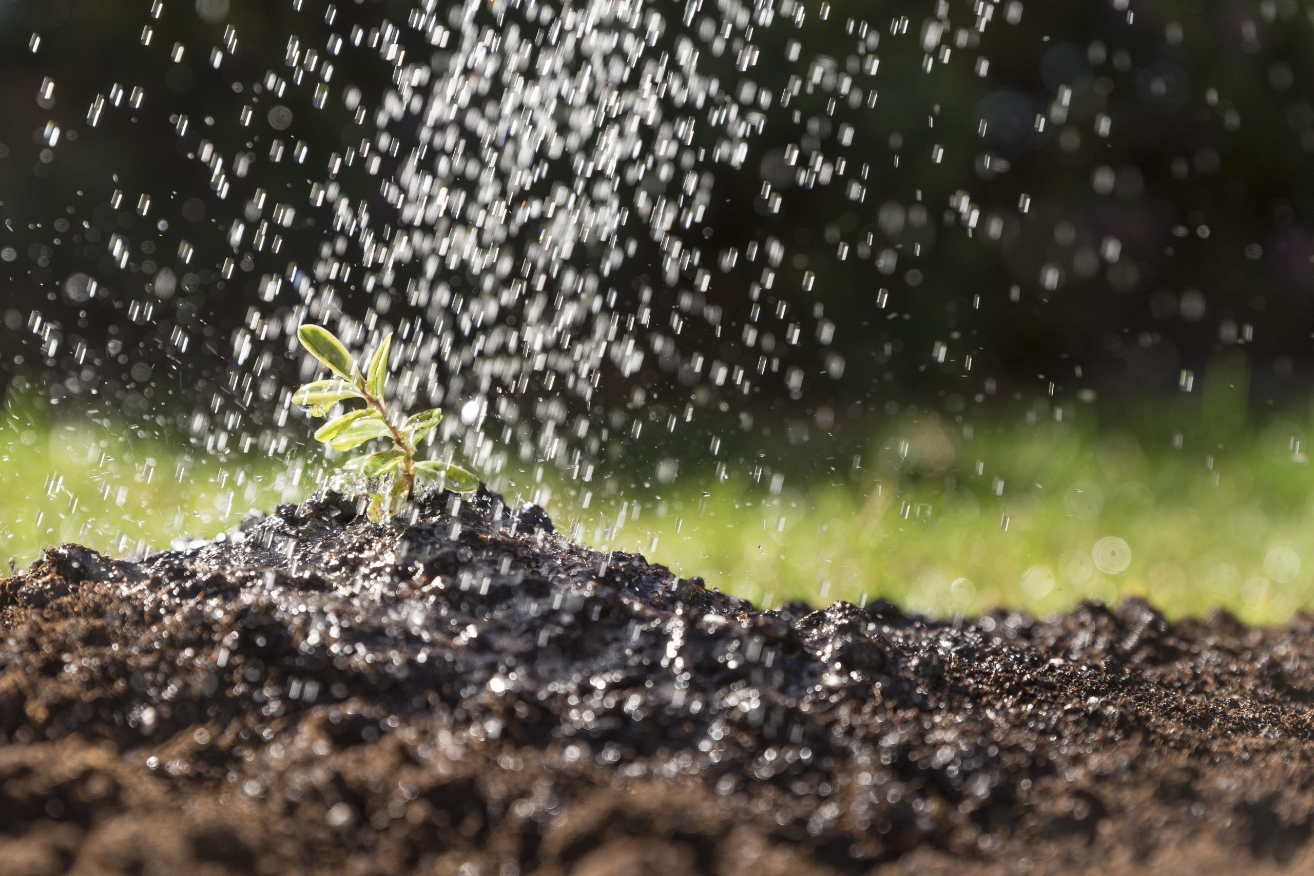 Projeto com incentivos para a indústria de fertilizantes pode seguir para a Câmara