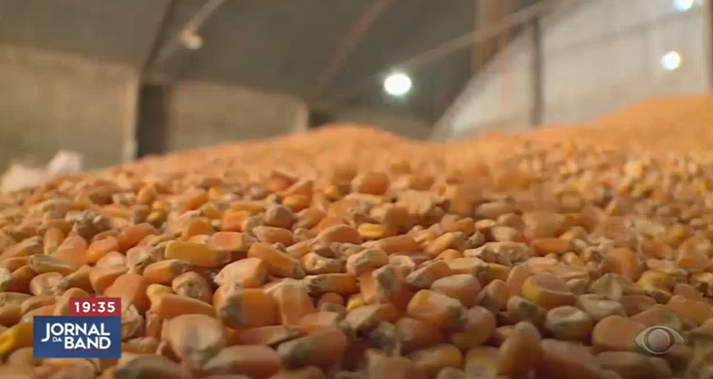 Brasil lidera exportação de alimentos