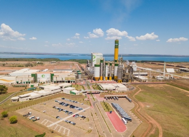 Eldorado Brasil abre processo seletivo para novos estagiários em 2024