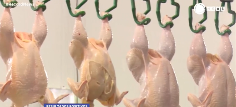 Exportação de frango bate recorde e chega a 4 milhões de toneladas em 2023