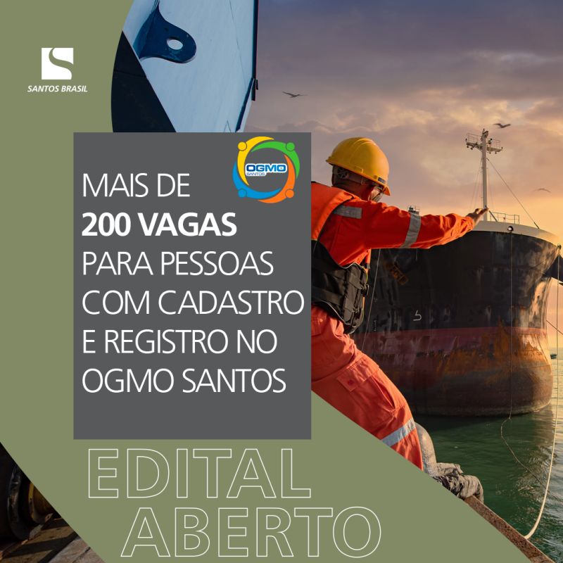 Santos Brasil tem cerca de 250 vagas de trabalho abertas no Tecon Santos
