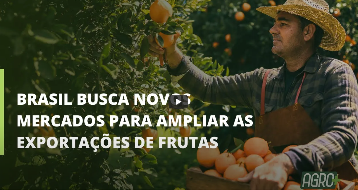 Brasil é 3º maior produtor de frutas do mundo