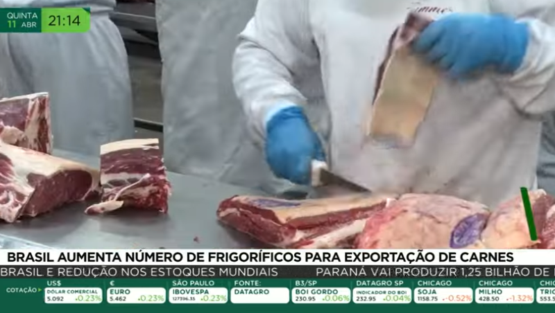Brasil aumenta número de frigoríficos para exportação de carnes