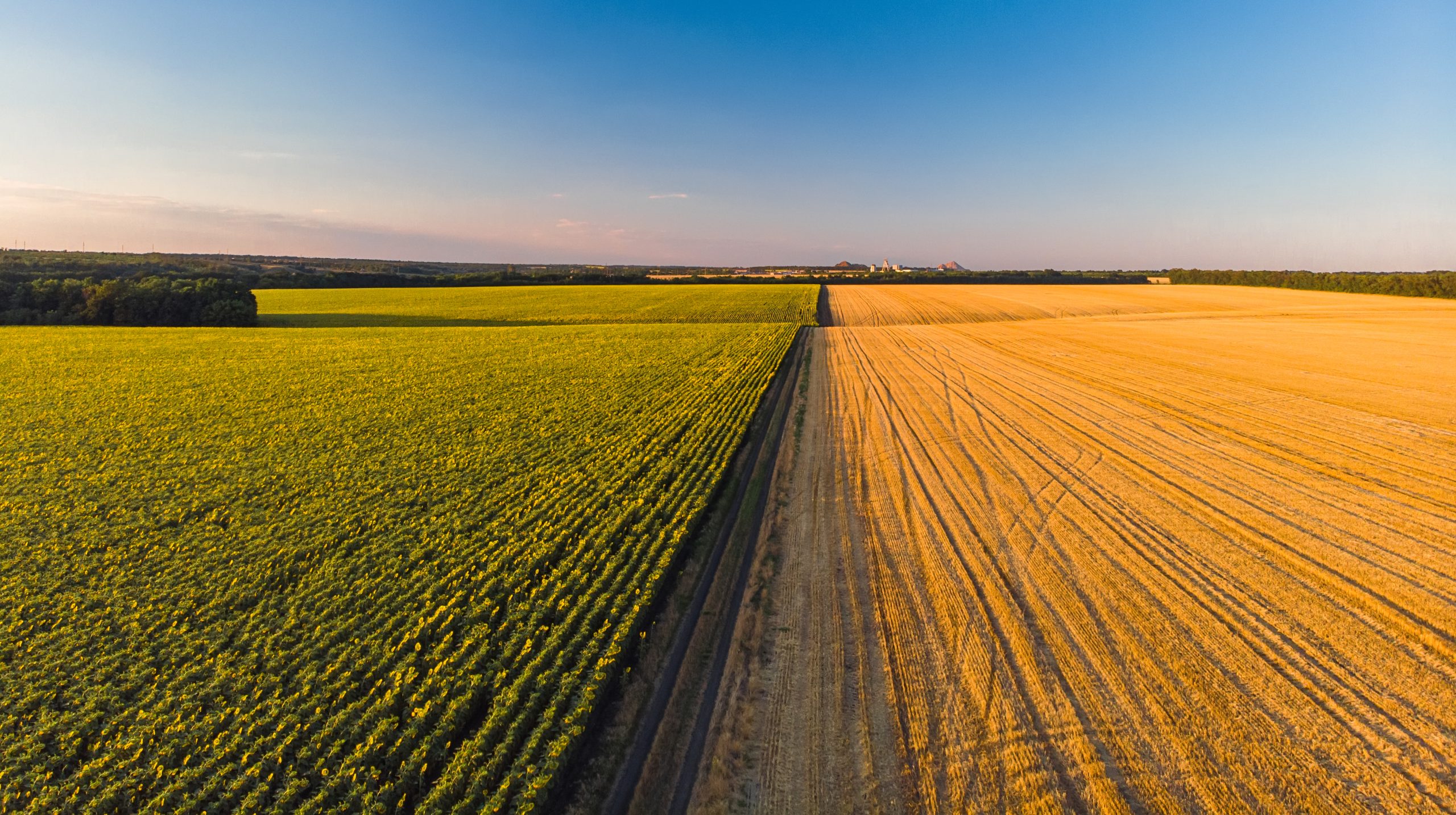 Exportação do agronegócio paulista cresce 9,2% até setembro e soma US$ 22,69 bi