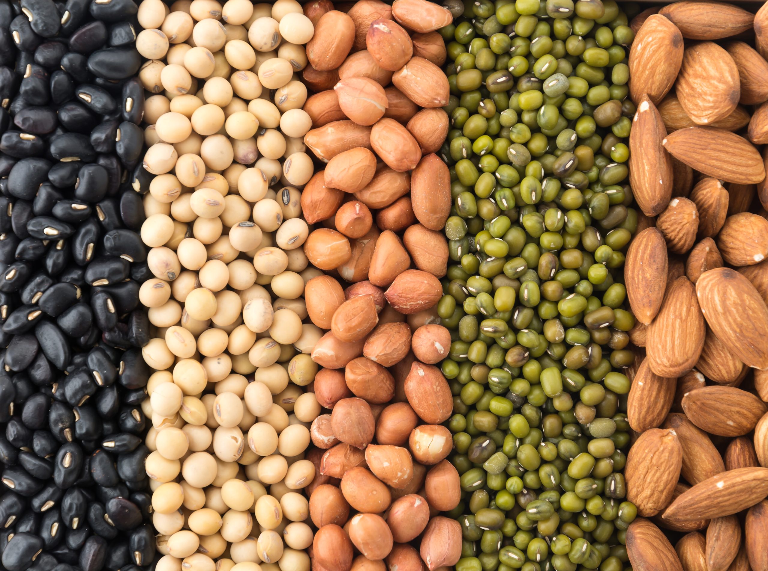 Valor Bruto da Produção agropecuária atinge R$ 1,2 trilhão em agosto