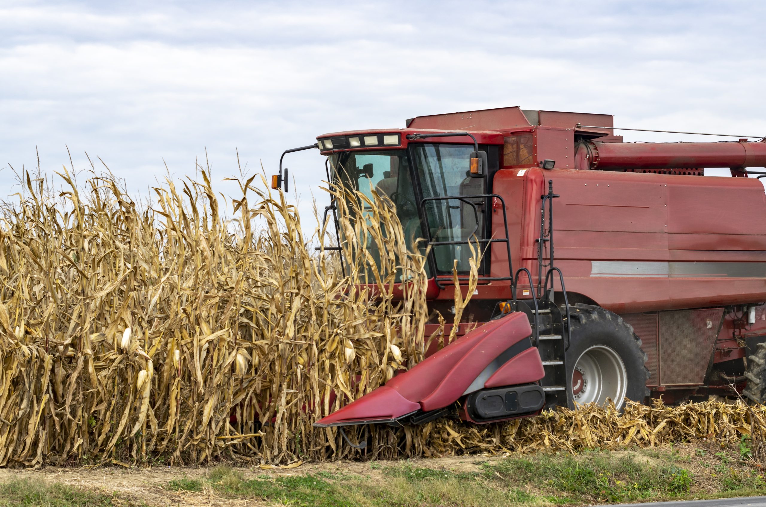 Agronegócio paulista registra superávit de US$16,05 bilhões
