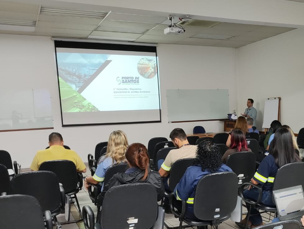 APS apresenta conclusões de pesquisa sobre pombos no Porto de Santos