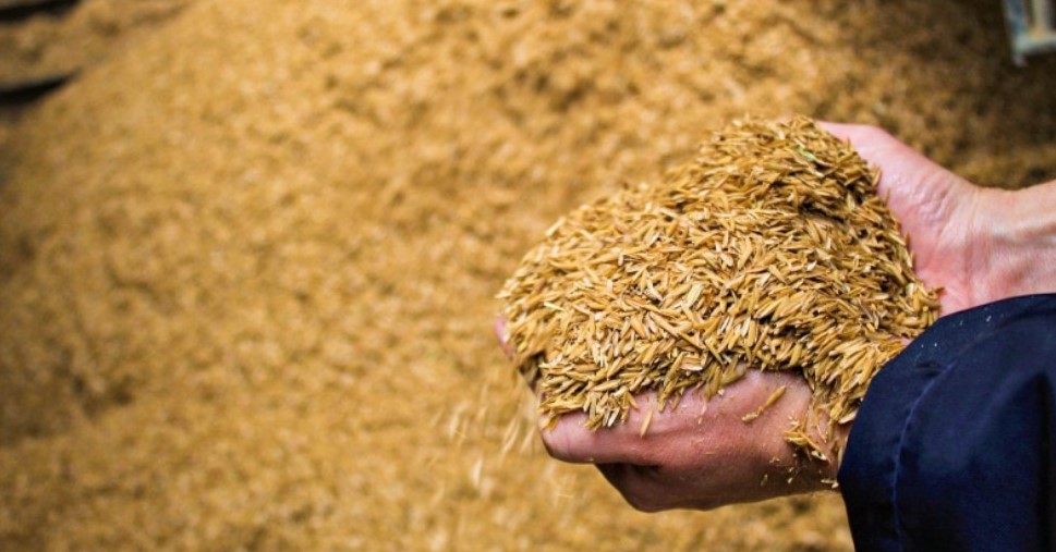 Governo autoriza importação de 1 milhão de toneladas de arroz