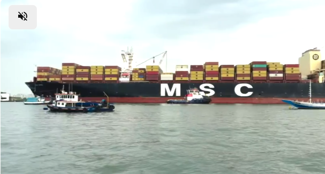 Porto de Santos recebe navio maior que a Torre Eiffel