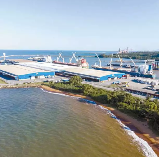 Portocel recebe primeira carga em Santos