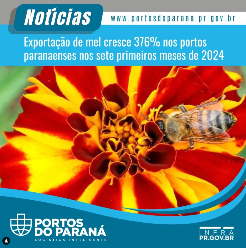 Exportação de mel cresce 376% nos portos paranaenses nos sete primeiros meses de 2024