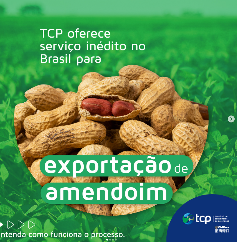Paranaguá é o primeiro porto do Brasil a fazer amostragem de amendoim para a Europa