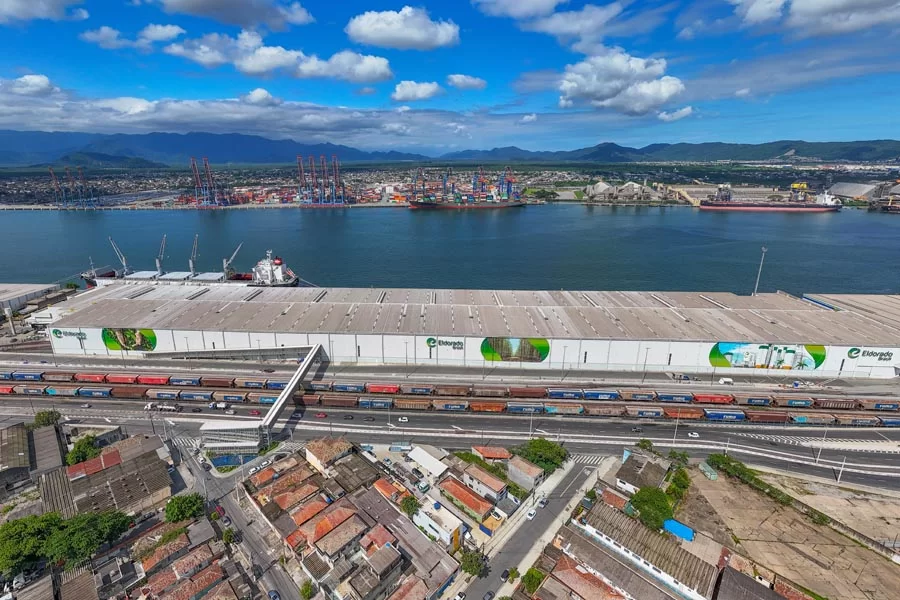 Do Porto de Santos para o mundo: como é a exportação de celulose